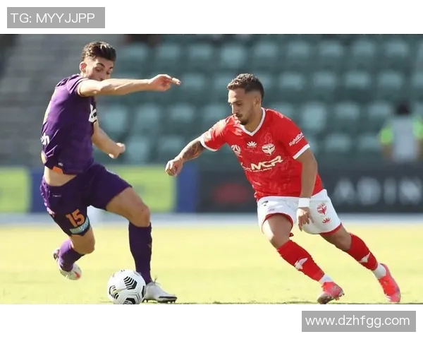 北京北控迎战惠灵顿凤凰力争主场胜利展现球队实力与风采 北京北控迎战惠灵顿凤凰力争主场胜利展现球队实力与风采