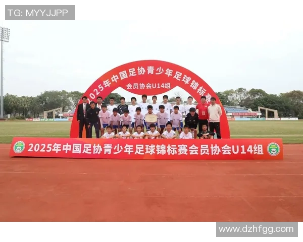 中国足协的现状与发展历程分析及其在中国足球中的角色探讨